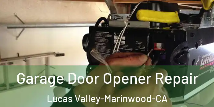 Garage Door Opener Repair Lucas Valley-Marinwood-CA