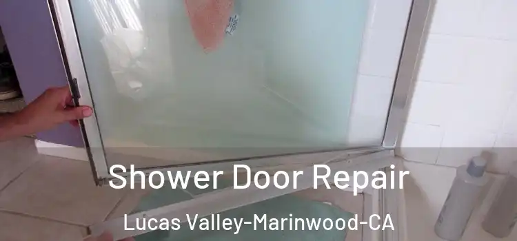  Shower Door Repair Lucas Valley-Marinwood-CA